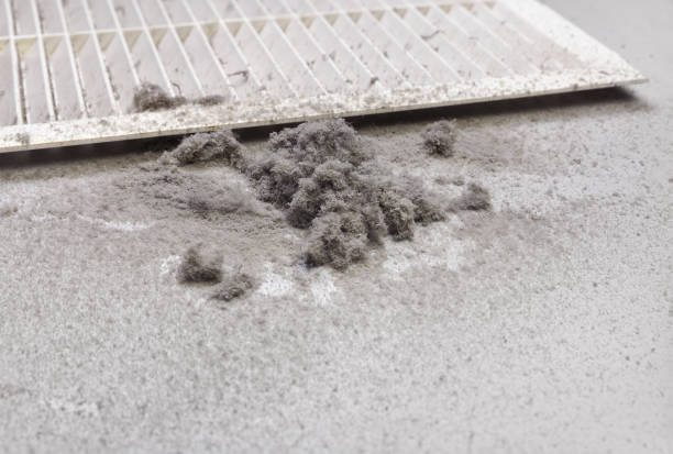 Best HVAC System Cleaning  in Beach Haven, NJ