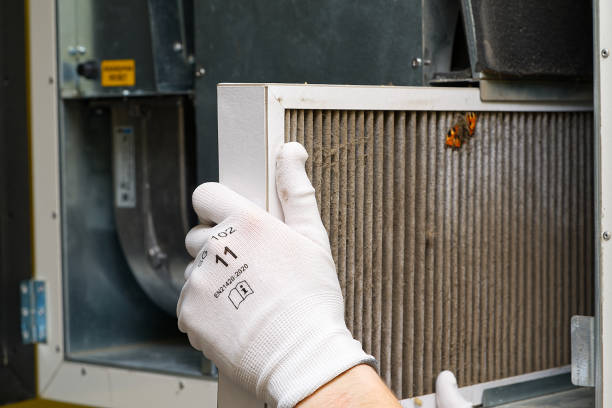 Best Air Duct Cleaning Near Me  in Beach Haven, NJ